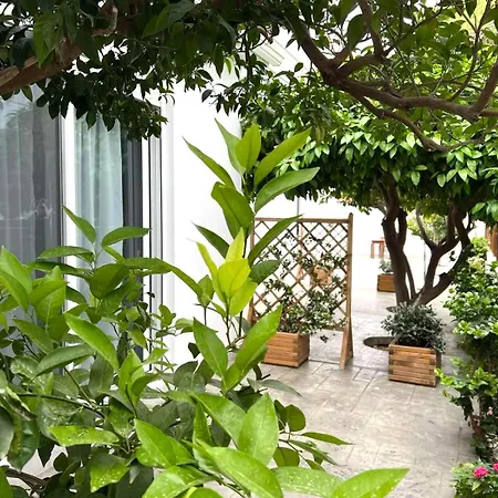 Apartamento Sky Char *